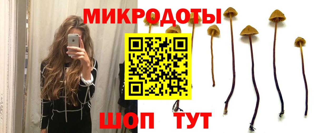Красноперекопск  Галлюциногенные грибы ЛСД  Галлюциногенные грибы Cubensis  Вход с VPN 